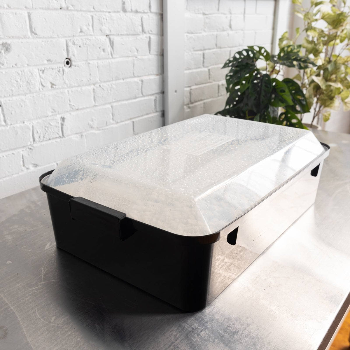 Grow Chambers Boomr Bin Mushroom Monotub Colonizer Lid