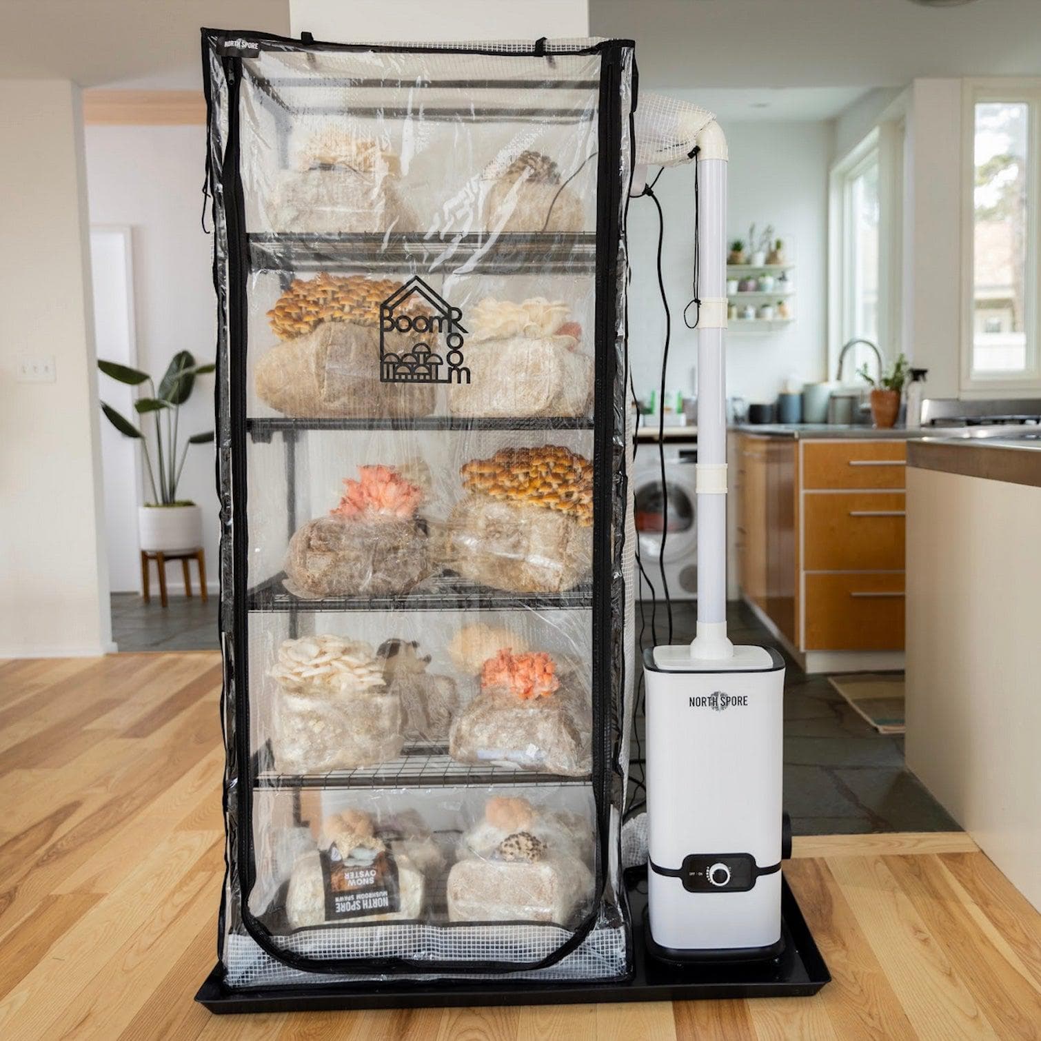 custom grow tent 'BoomRoom II' Automated Martha Tent Mushroom Grow Kit
