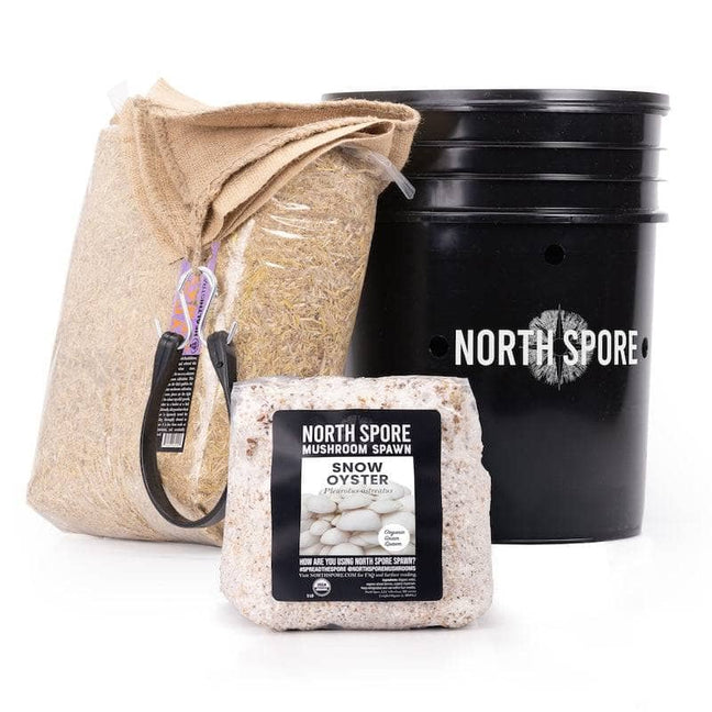 'MushBucket' Mushroom Bucket Grow Kit