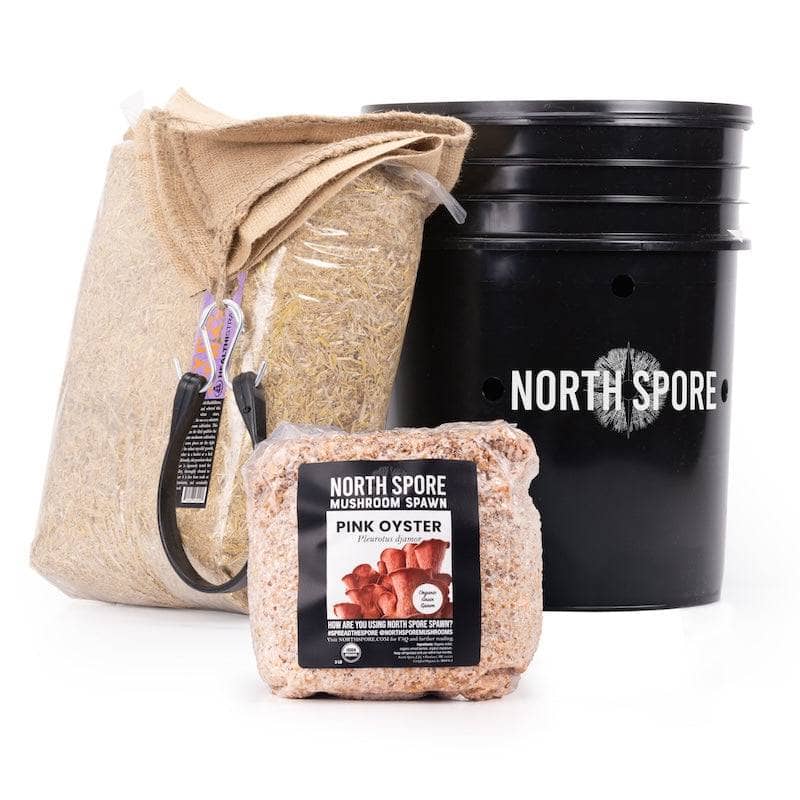 Grow Chambers 'MushBucket' Blue Oyster Mushroom Bucket Grow Kit