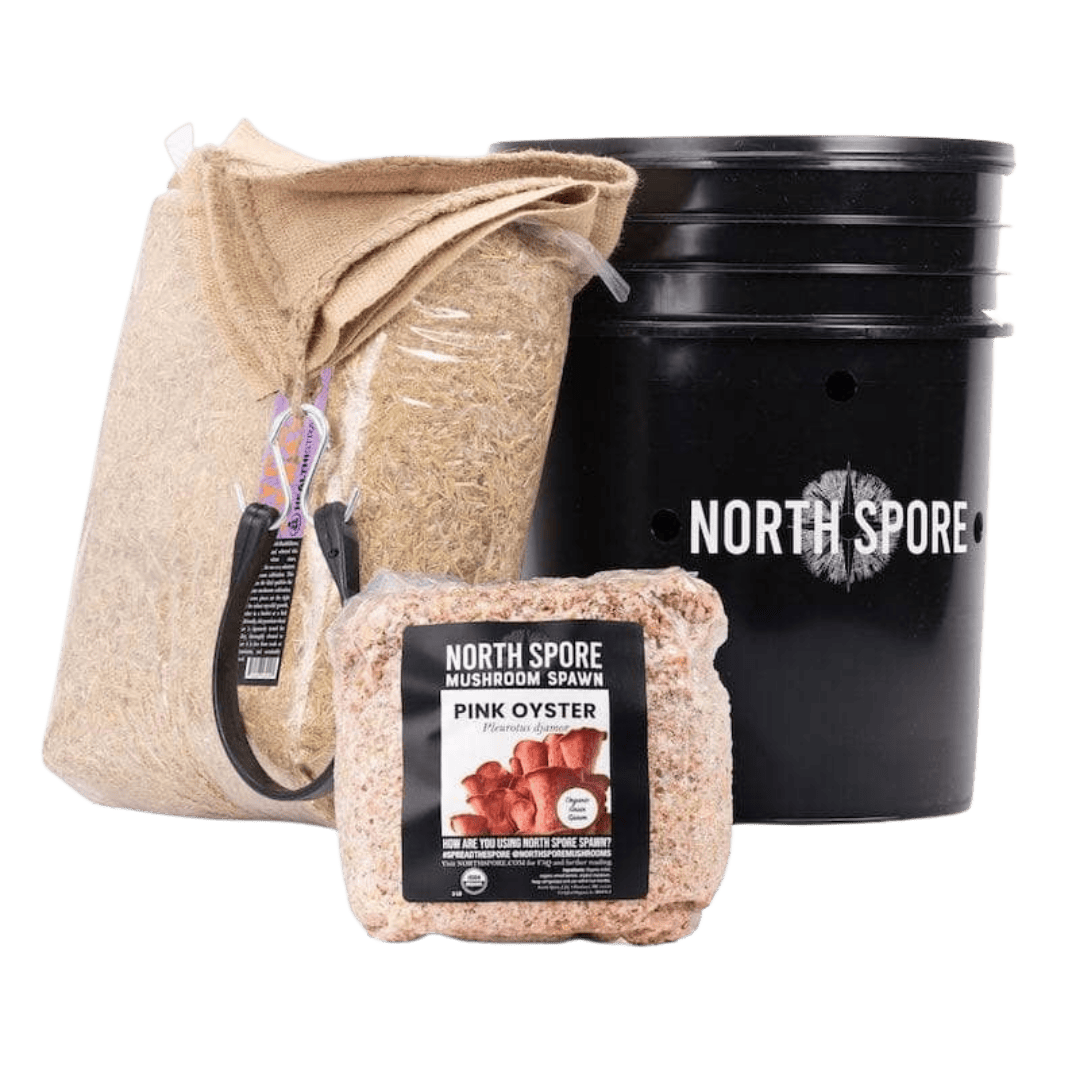 Grow Chambers 'MushBucket' Mushroom Bucket Grow Kit