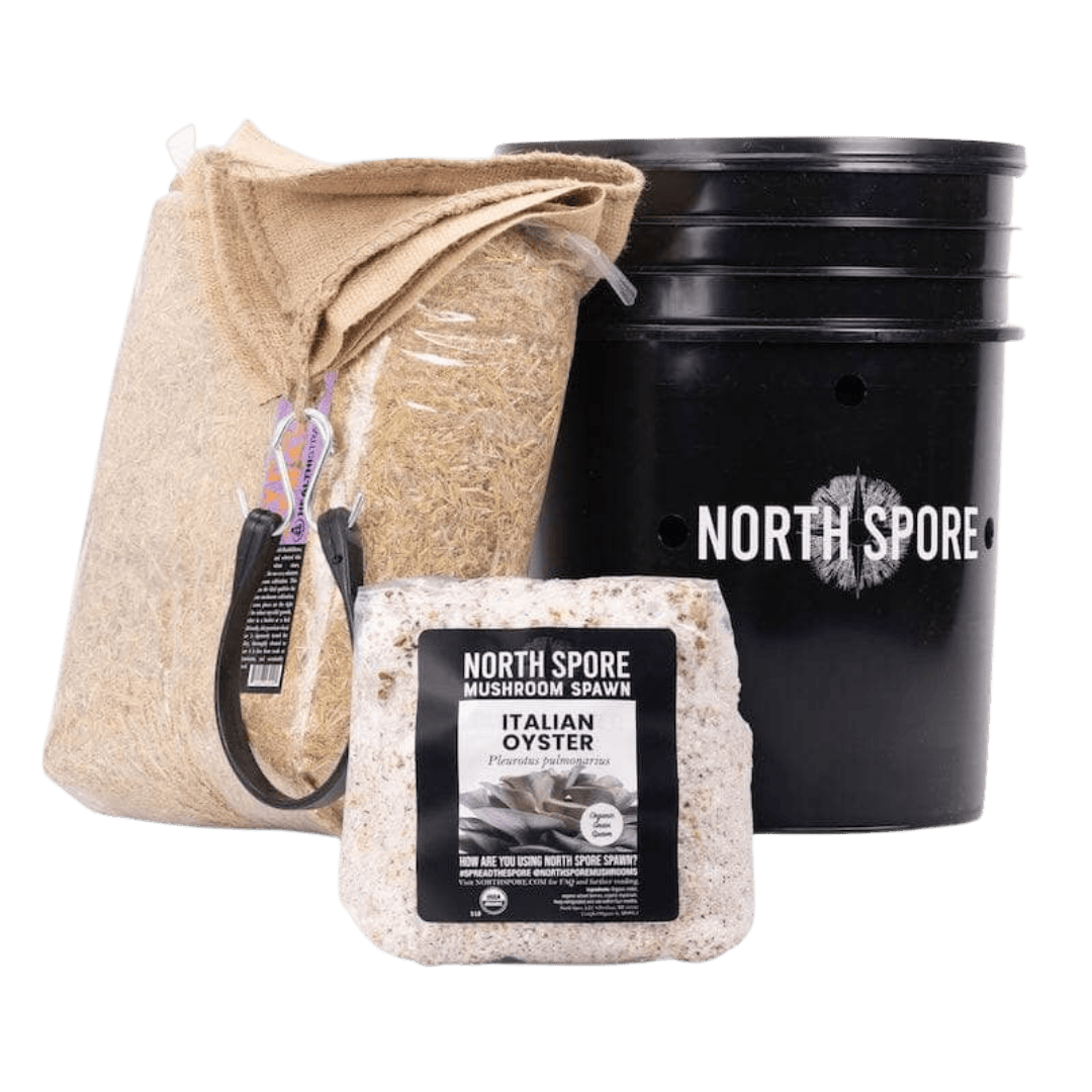 Grow Chambers 'MushBucket' Mushroom Bucket Grow Kit