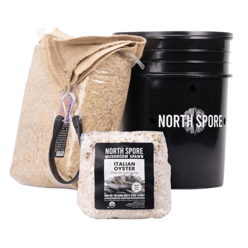 Grow Chambers 'MushBucket' Mushroom Bucket Grow Kit