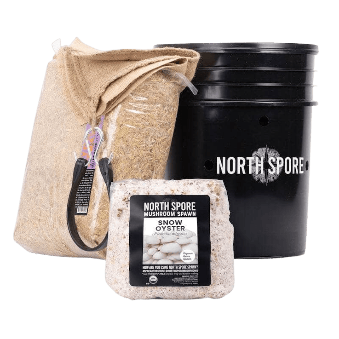 Grow Chambers 'MushBucket' Mushroom Bucket Grow Kit