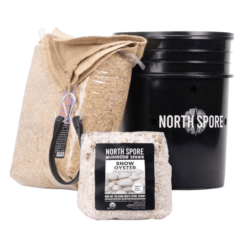 Grow Chambers 'MushBucket' Mushroom Bucket Grow Kit