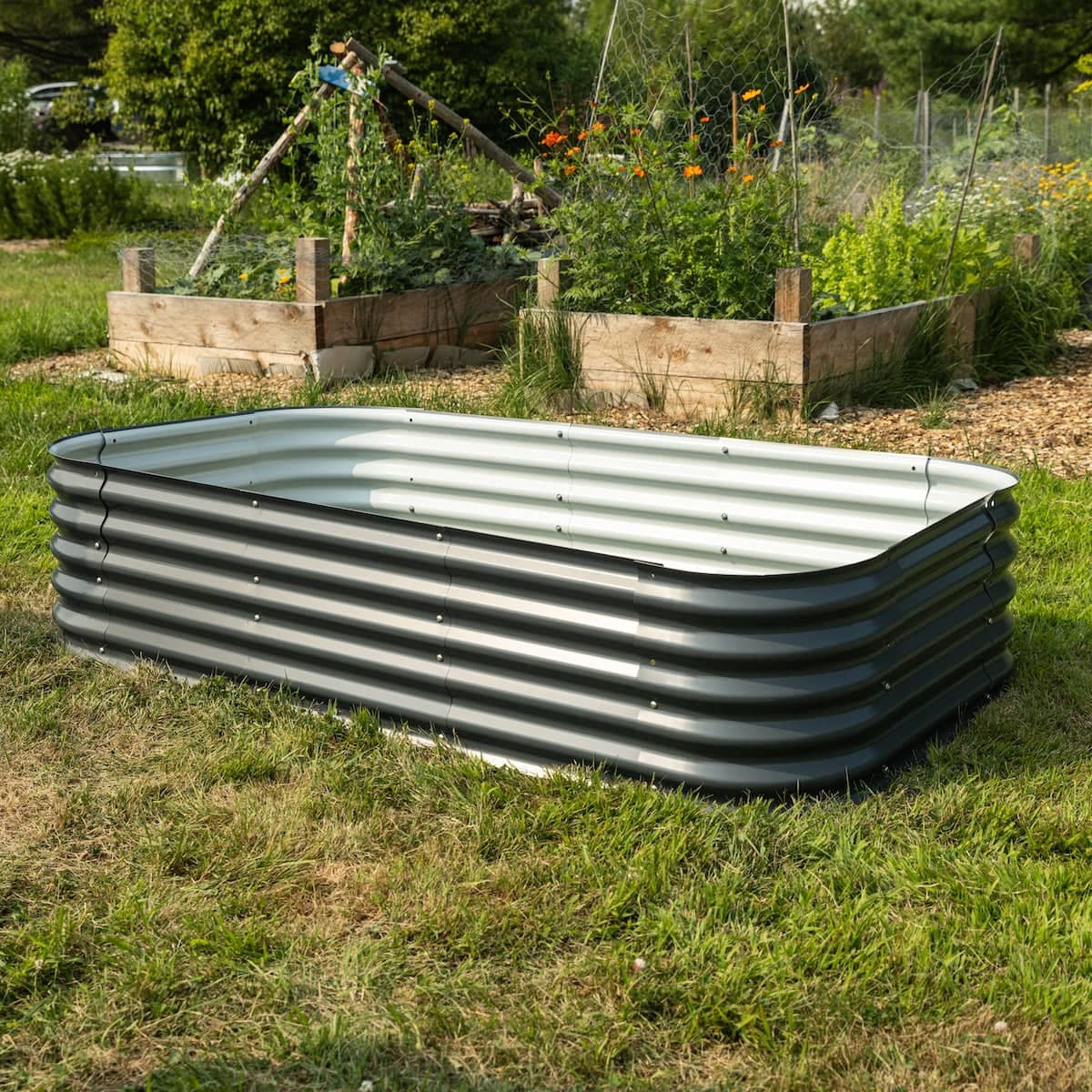 Grow Chambers MycoSphere