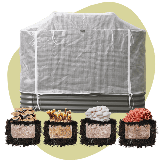MycoSphere + Plant & Grow Bundle