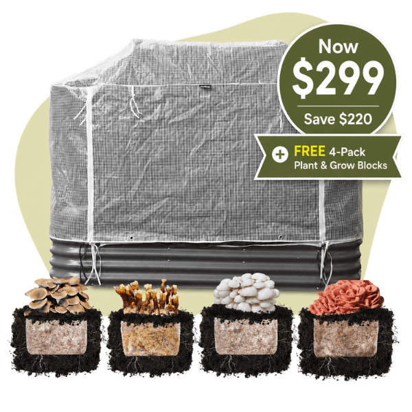 MycoSphere + Plant & Grow Bundle