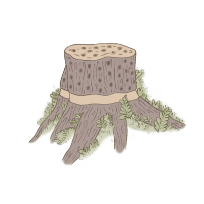 A tree stump with visible roots and green plants growing around it, illustrated in a simple, cartoon style on a white background.