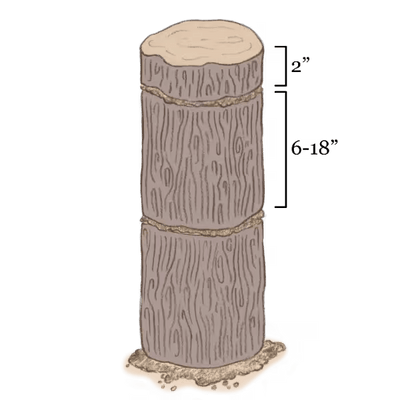 Illustration of a tree trunk cut into three sections: a 2-inch thick top piece and two middle sections each 6–18 inches tall, standing vertically on soil.