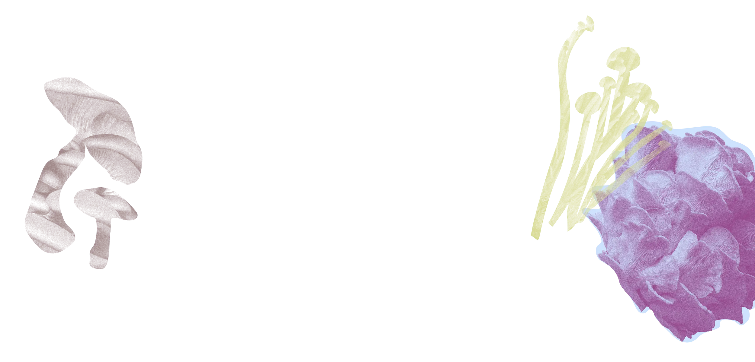 Two abstract mushroom illustrations: one beige cluster on the left and a yellow-purple cluster on the right, set against a white background with ample empty space in the center.