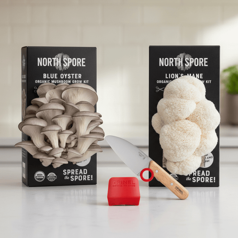 Holiday Bundle Little Chefs Mushroom Growing and Cooking Bundle