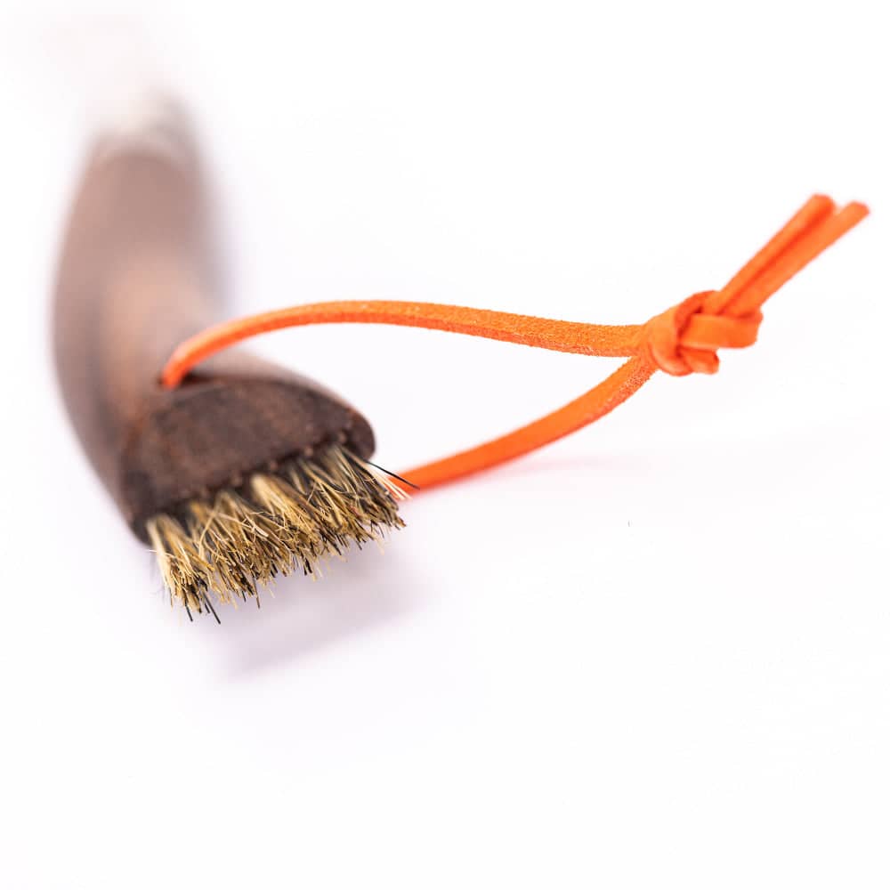 Holiday Bundle Perfect Mushroom Forager Set