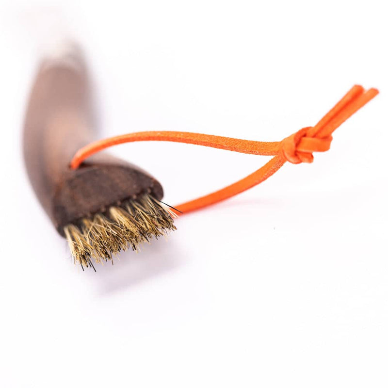 Holiday Bundle Perfect Mushroom Forager Set