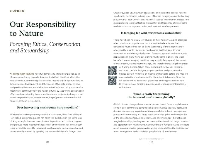 Holiday Bundle Perfect Mushroom Forager Set