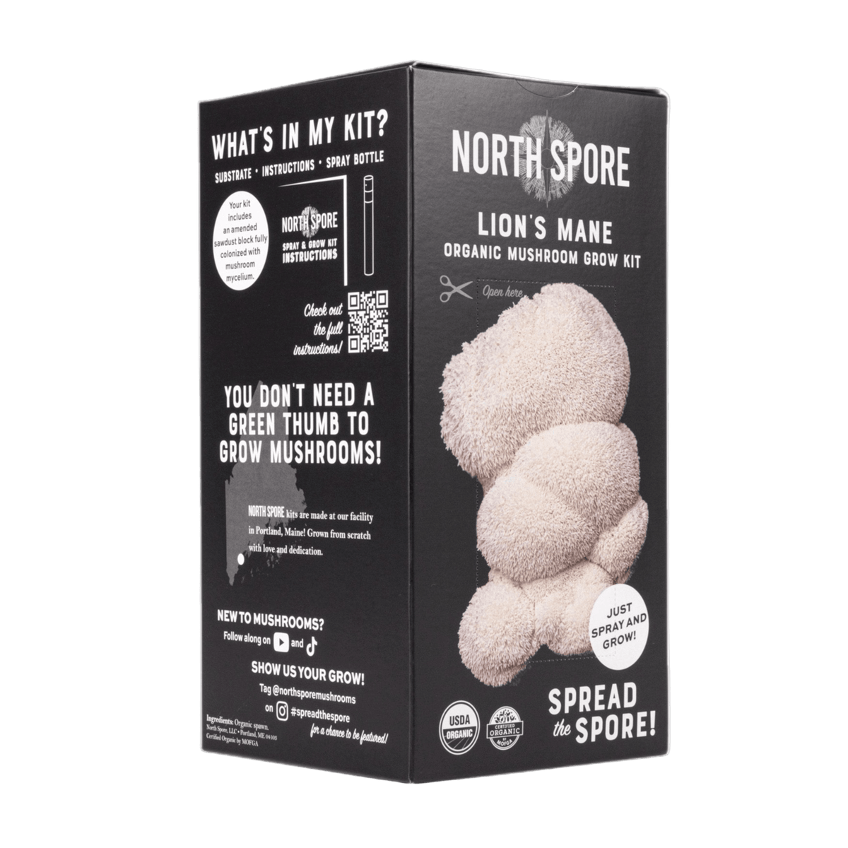 Holiday Bundle The Complete Lion’s Mane Bundle | Organic Mushroom Extracts, Functional Mushroom Chocolate & Mushroom Grow Kit