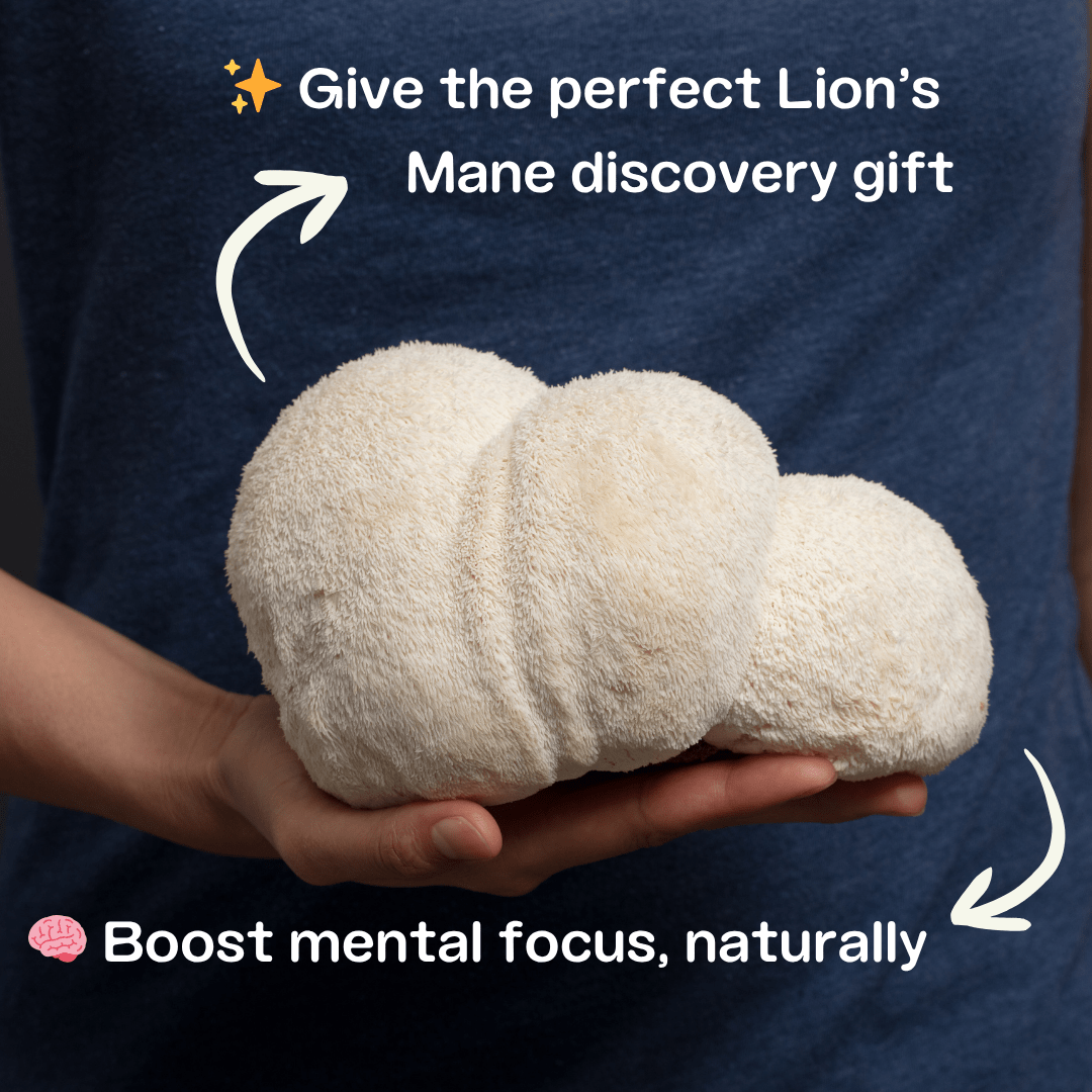 Holiday Bundle The Complete Lion’s Mane Bundle | Organic Mushroom Extracts, Functional Mushroom Chocolate & Mushroom Grow Kit
