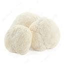 <span class="metafield-string">Lion&#39;s Mane</span>