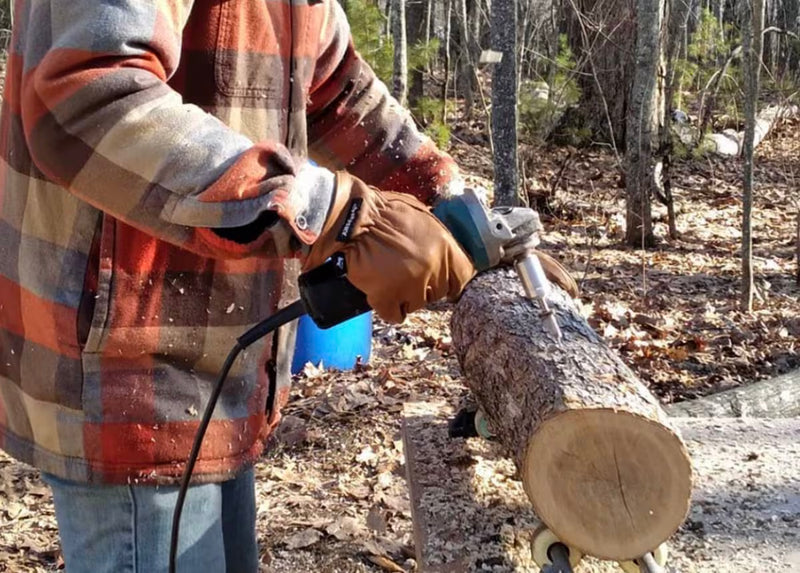 Lumberjack drilling holes to inoculate a log with mushroom spawn
