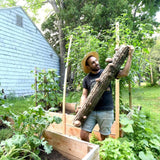 Image thumbnail: Log Kit Mushroom Log Beginner Bundle