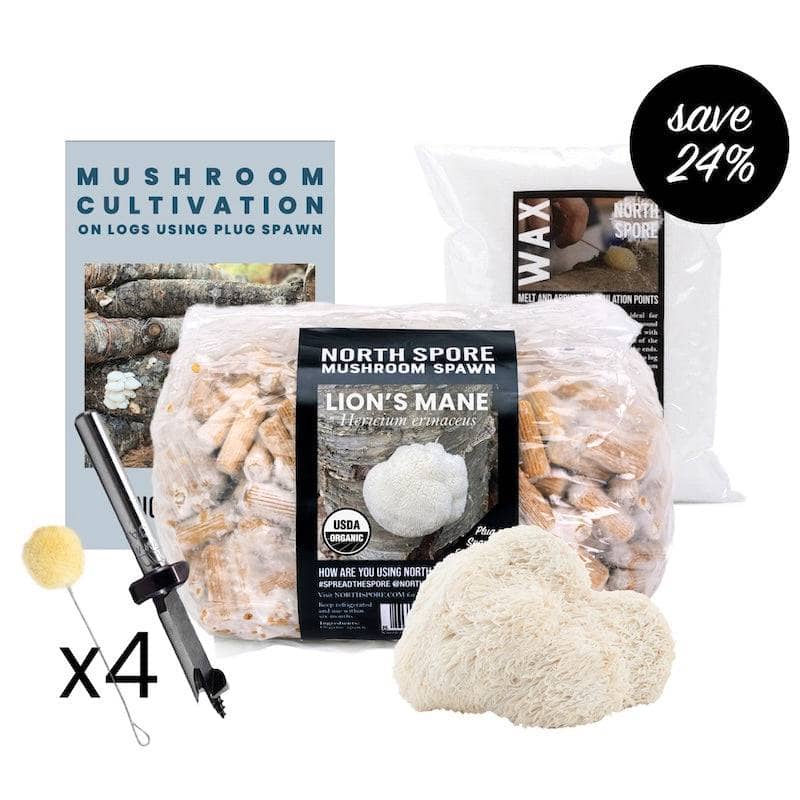 Log Kit Mushroom Log Beginner Bundle