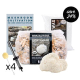 Image thumbnail: Log Kit Mushroom Log Beginner Bundle