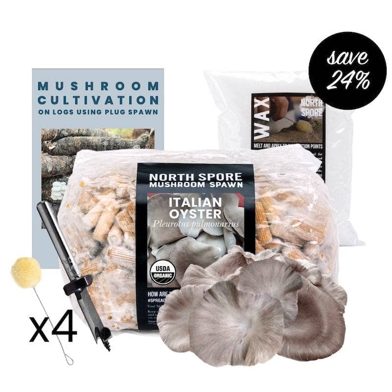Log Kit Mushroom Log Beginner Bundle