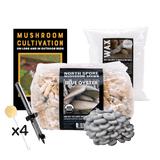 Image thumbnail: Log Kit Mushroom Log Beginner Bundle