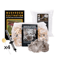 Mushroom Log Beginner Bundle