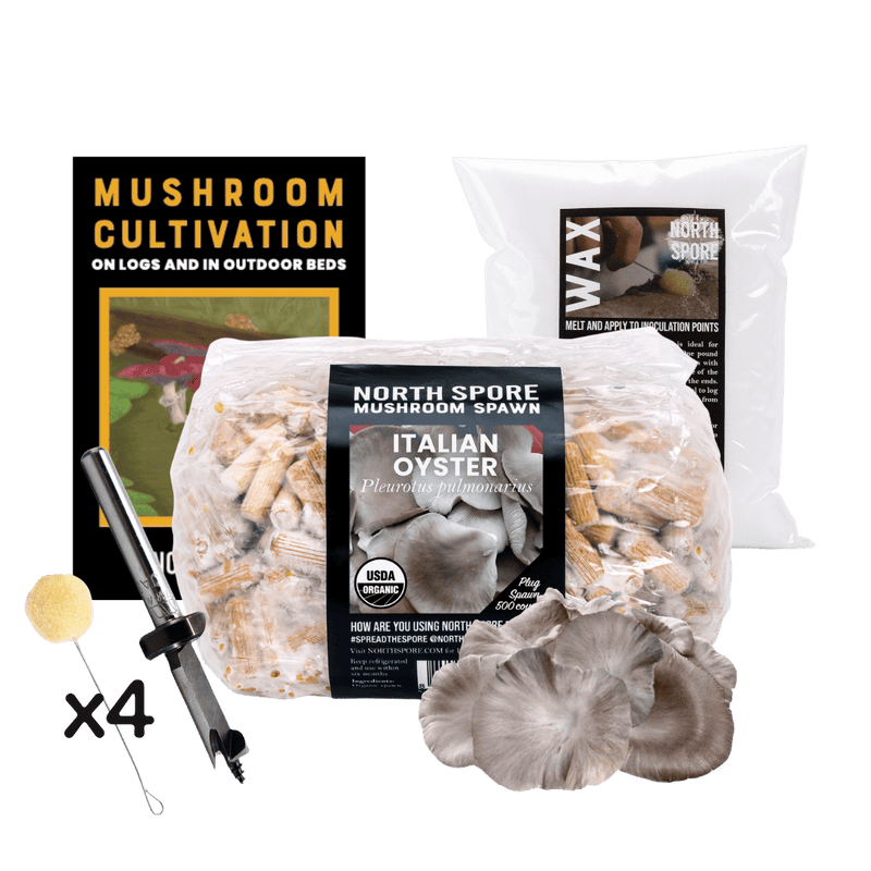 Log Kit Mushroom Log Beginner Bundle