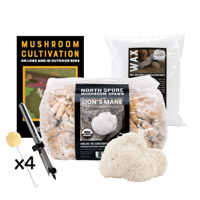 Mushroom Log Beginner Bundle