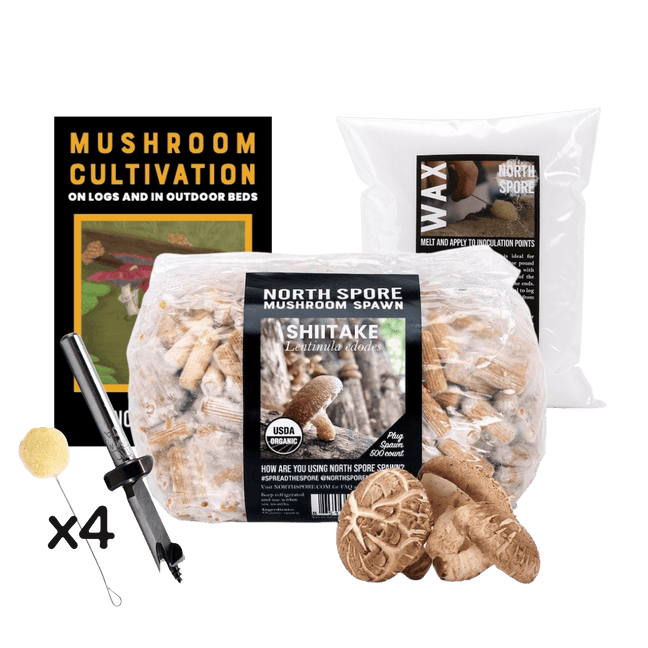 Mushroom Log Beginner Bundle