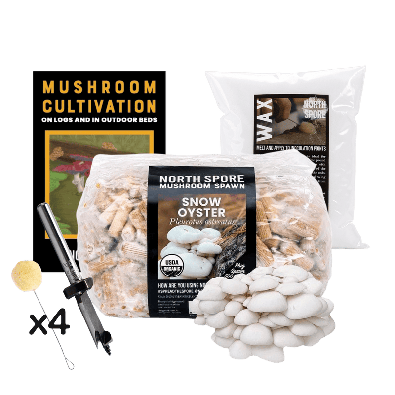 Log Kit Mushroom Log Beginner Bundle