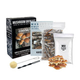 Image thumbnail: Log Kit Organic Chestnut Mushroom Outdoor Log Kit
