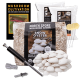Image thumbnail: Log Kit Sawdust Spawn Mushroom Log Starter Kit