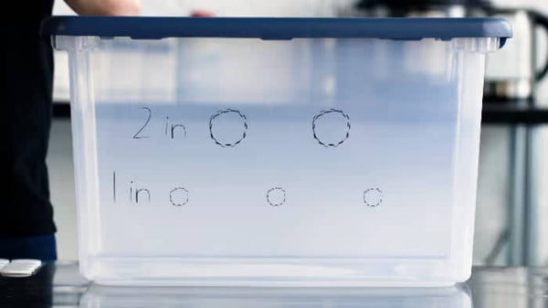 A clear plastic storage bin with a blue lid, marked with 2 in and 1 in labels next to outlined circles on its side.