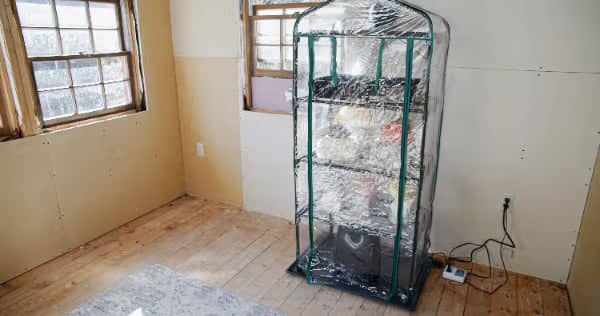 A small indoor greenhouse with clear plastic cover and green frame stands in a mostly empty room with bare wooden floors and two windows.
