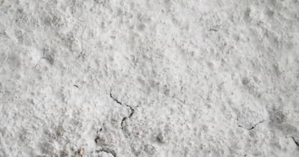 Rough white textured surface with small cracks and uneven spots, resembling plaster or a chalky wall.