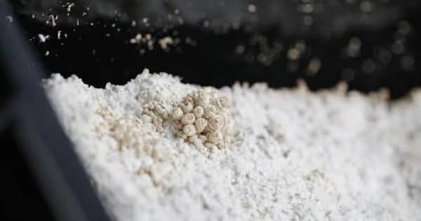 A close-up of cat litter with a small clump forming in the middle, set against a dark background.