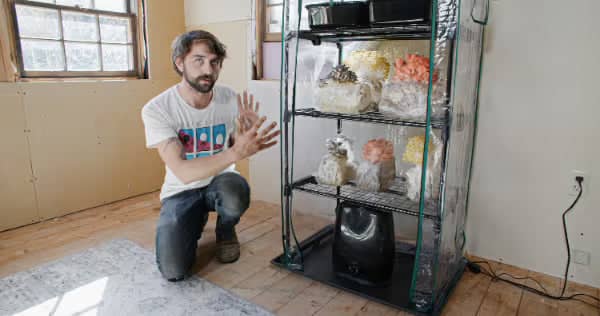 A man kneels next to a small indoor greenhouse with various mushrooms growing on shelves inside a bright room with wooden floors.