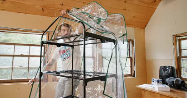 A person sets up a small indoor greenhouse with metal shelves and a clear plastic cover in a room with large windows and wooden walls.