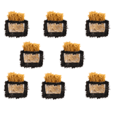 Image thumbnail: Plant and Grow Golden Enoki 'Plant & Grow' Mushroom Starter