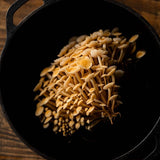 Image thumbnail: Plant and Grow Golden Enoki 'Plant & Grow' Mushroom Starter