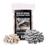 Image thumbnail: Plug Spawn Organic Blue Oyster Mushroom Plug Spawn