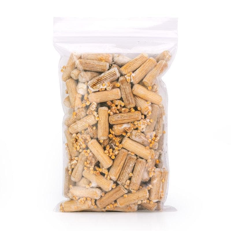 Plug Spawn Organic Chestnut Mushroom Plug Spawn