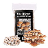 Image thumbnail: Plug Spawn Organic Chestnut Mushroom Plug Spawn