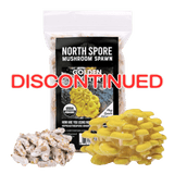 Image thumbnail: Plug Spawn Organic Golden Oyster Mushroom Plug Spawn