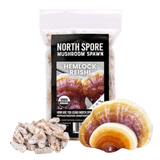 Image thumbnail: Plug Spawn Organic Hemlock Reishi Mushroom Plug Spawn