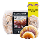 Image thumbnail: Plug Spawn Organic Hemlock Reishi Mushroom Plug Spawn
