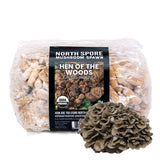 Image thumbnail: Plug Spawn Organic Hen of the Woods (Maitake) Plug Spawn